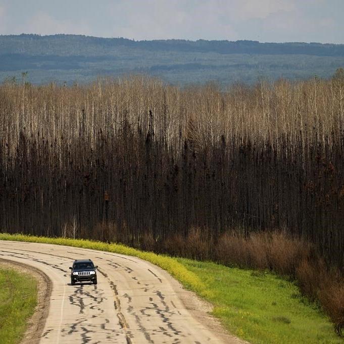 Record Alberta fires changed forests for decades and destroyed rare habitat: report
